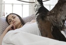 Η αγριόπαπια θεατρικη κριτική AGRIOPAPIA KRITIKI